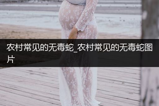 農(nóng)村常見的無毒蛇_(dá)農(nóng)村常見的無毒蛇圖片