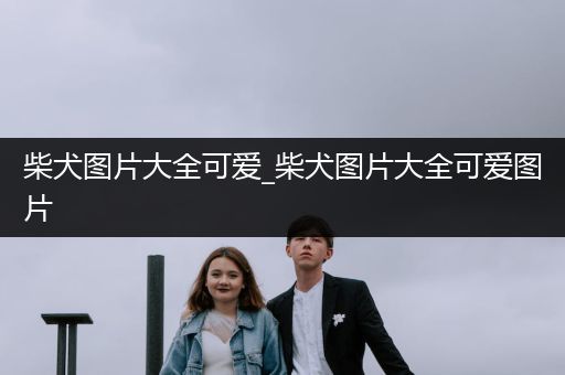 柴犬圖片大全可愛(ài)_柴犬圖片大全可愛(ài)圖片