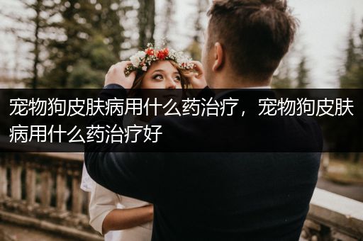 寵物狗皮膚病用什么藥治療，寵物狗皮膚病用什么藥治療好