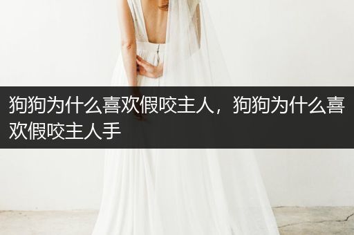 狗狗為什么喜歡假咬主人，狗狗為什么喜歡假咬主人手