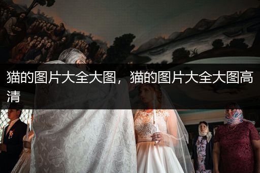 貓的圖片大全大圖，貓的圖片大全大圖高清