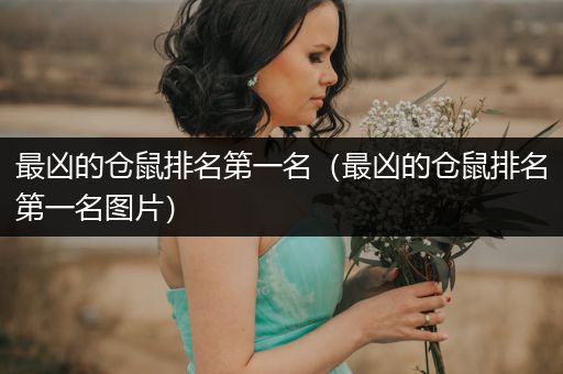 最兇的倉(cāng)鼠排名第一名（最兇的倉(cāng)鼠排名第一名圖片）