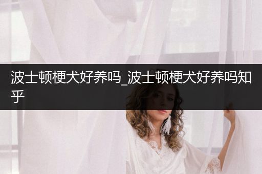 波士頓梗犬好養(yǎng)嗎_波士頓梗犬好養(yǎng)嗎知乎