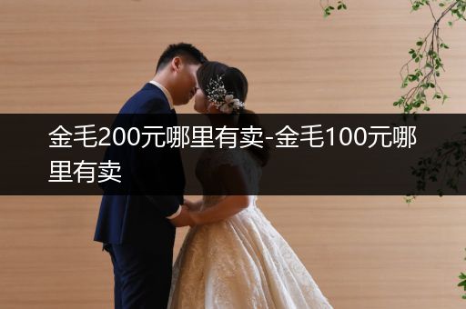 金毛200元哪里有賣-金毛100元哪里有賣