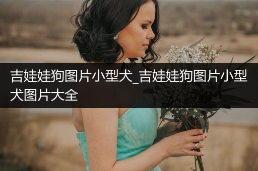 吉娃娃狗圖片小型犬_吉娃娃狗圖片小型犬圖片大全