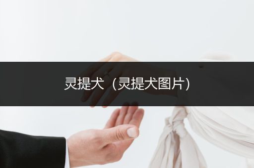 靈提犬（靈提犬圖片）