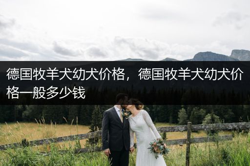 德國牧羊犬幼犬價(jià)格，德國牧羊犬幼犬價(jià)格一般多少錢