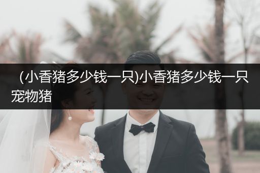 （小香豬多少錢一只)小香豬多少錢一只寵物豬