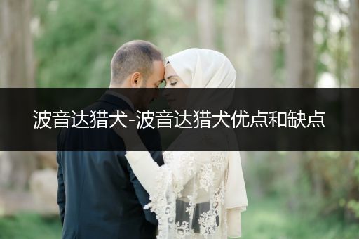 波音達(dá)獵犬-波音達(dá)獵犬優(yōu)點(diǎn)和缺點(diǎn)