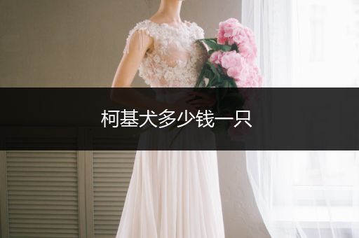 柯基犬多少錢一只 