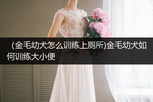 （金毛幼犬怎么訓(xùn)練上廁所)金毛幼犬如何訓(xùn)練大小便