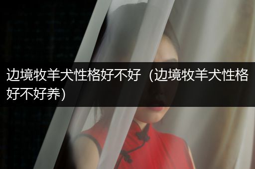 邊境牧羊犬性格好不好（邊境牧羊犬性格好不好養(yǎng)）