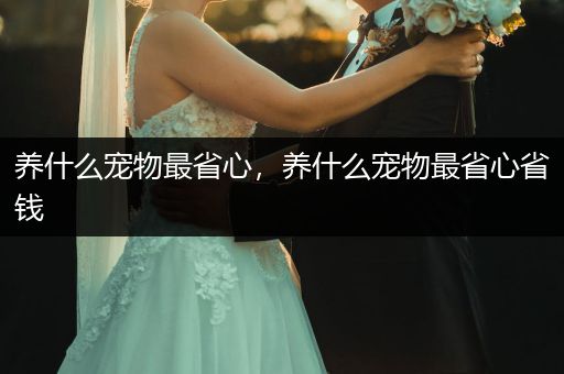 養(yǎng)什么寵物最省心，養(yǎng)什么寵物最省心省錢