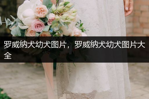 羅威納犬幼犬圖片，羅威納犬幼犬圖片大全