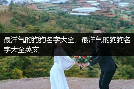 最洋氣的狗狗名字大全，最洋氣的狗狗名字大全英文