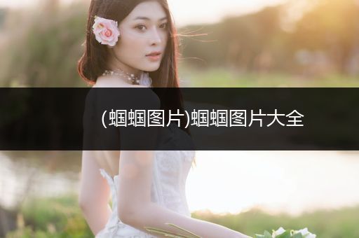 （蟈蟈圖片)蟈蟈圖片大全