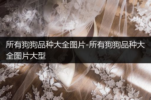所有狗狗品種大全圖片-所有狗狗品種大全圖片大型