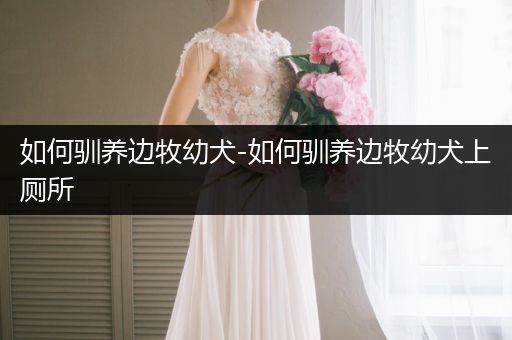 如何馴養(yǎng)邊牧幼犬-如何馴養(yǎng)邊牧幼犬上廁所