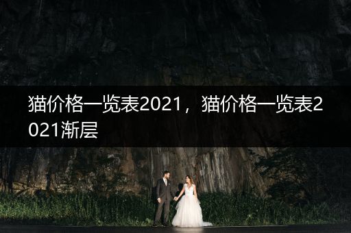 貓價格一覽表2021，貓價格一覽表2021漸層