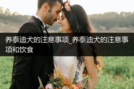 養(yǎng)泰迪犬的注意事項(xiàng)_養(yǎng)泰迪犬的注意事項(xiàng)和飲食