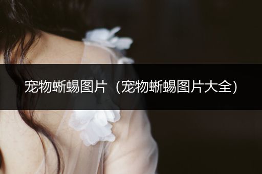 寵物蜥蜴圖片（寵物蜥蜴圖片大全）