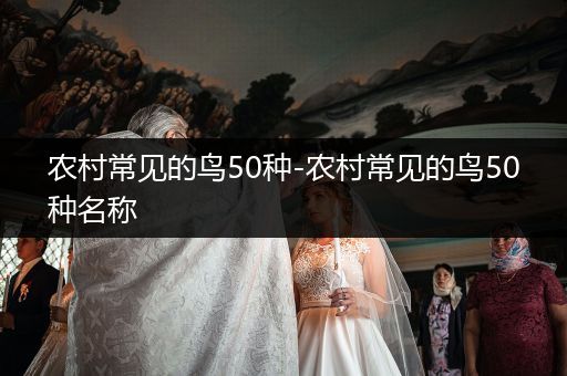 農(nóng)村常見的鳥50種-農(nóng)村常見的鳥50種名稱