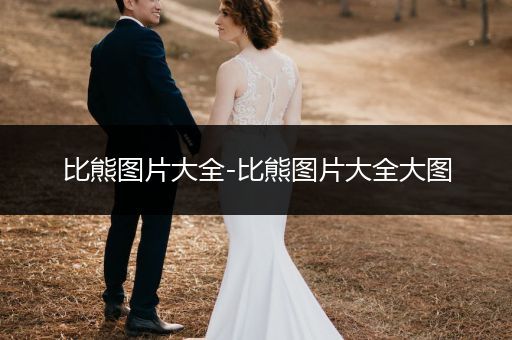 比熊圖片大全-比熊圖片大全大圖