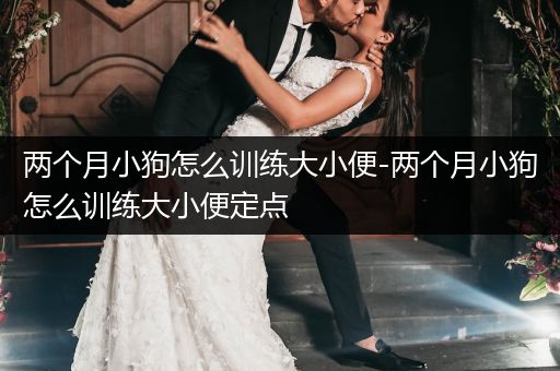 兩個月小狗怎么訓(xùn)練大小便-兩個月小狗怎么訓(xùn)練大小便定點