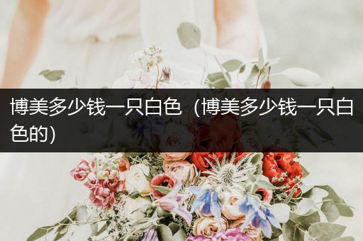 博美多少錢一只白色（博美多少錢一只白色的）
