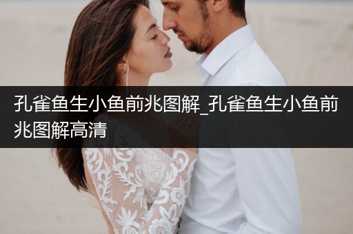 孔雀魚生小魚前兆圖解_孔雀魚生小魚前兆圖解高清