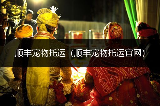 順豐寵物托運(yùn)（順豐寵物托運(yùn)官網(wǎng)）