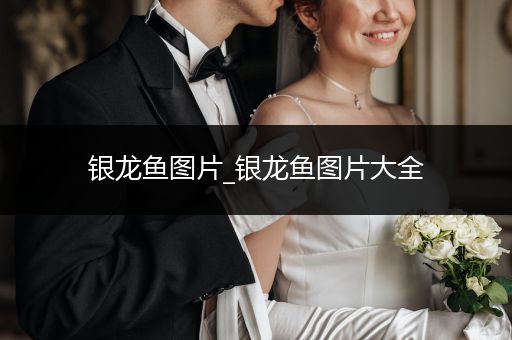 銀龍魚圖片_銀龍魚圖片大全