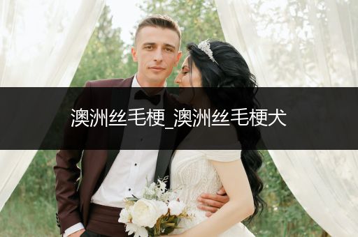 澳洲絲毛梗_澳洲絲毛梗犬