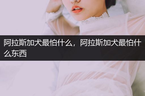 阿拉斯加犬最怕什么，阿拉斯加犬最怕什么東西