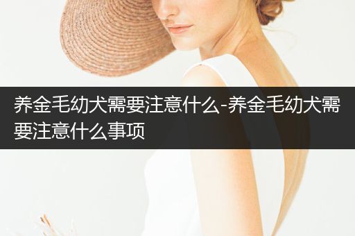 養(yǎng)金毛幼犬需要注意什么-養(yǎng)金毛幼犬需要注意什么事項