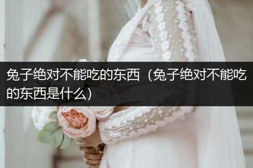 兔子絕對不能吃的東西（兔子絕對不能吃的東西是什么）