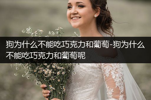 狗為什么不能吃巧克力和葡萄-狗為什么不能吃巧克力和葡萄呢