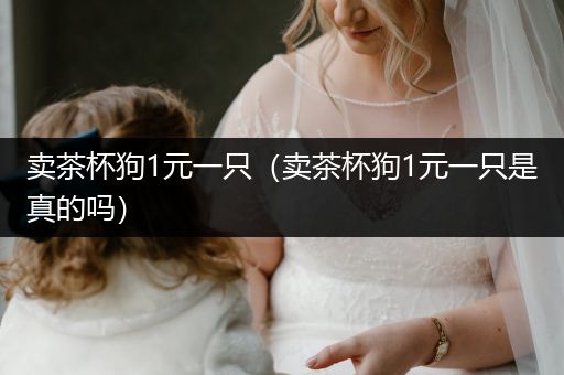 賣茶杯狗1元一只（賣茶杯狗1元一只是真的嗎）