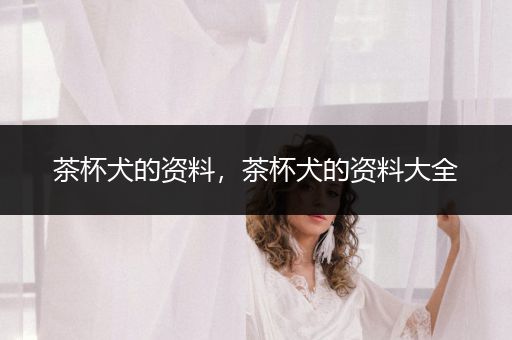 茶杯犬的資料，茶杯犬的資料大全