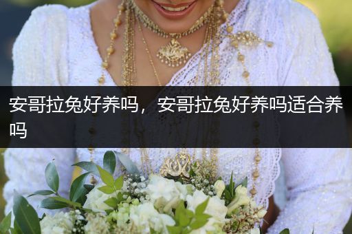 安哥拉兔好養(yǎng)嗎，安哥拉兔好養(yǎng)嗎適合養(yǎng)嗎