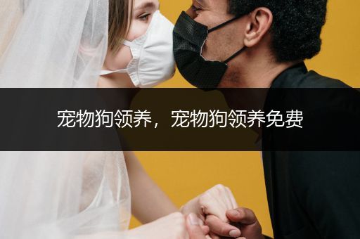 寵物狗領(lǐng)養(yǎng)，寵物狗領(lǐng)養(yǎng)免費(fèi)