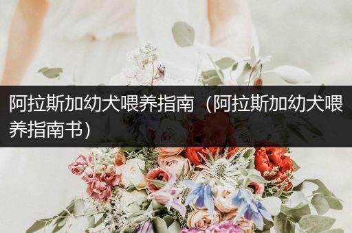 阿拉斯加幼犬喂養(yǎng)指南(阿拉斯加幼犬喂養(yǎng)指南書)