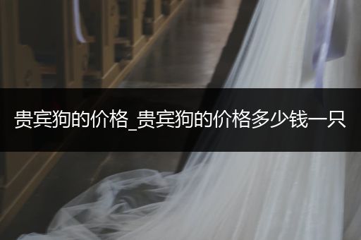 貴賓狗的價格_貴賓狗的價格多少錢一只