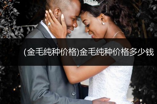 （金毛純種價(jià)格)金毛純種價(jià)格多少錢(qián)