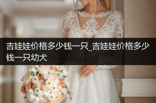 吉娃娃價(jià)格多少錢一只_吉娃娃價(jià)格多少錢一只幼犬