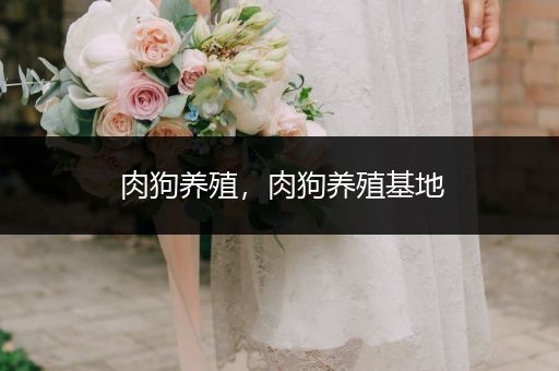 肉狗養(yǎng)殖，肉狗養(yǎng)殖基地