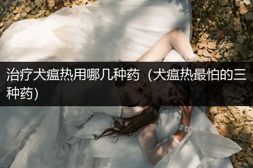 治療犬瘟熱用哪幾種藥（犬瘟熱最怕的三種藥）