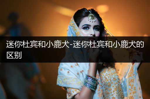 迷你杜賓和小鹿犬-迷你杜賓和小鹿犬的區(qū)別