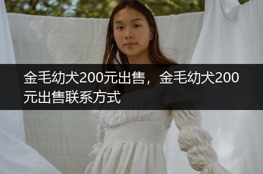 金毛幼犬200元出售，金毛幼犬200元出售聯(lián)系方式