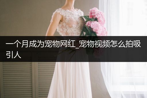 一個月成為寵物網(wǎng)紅_寵物視頻怎么拍吸引人